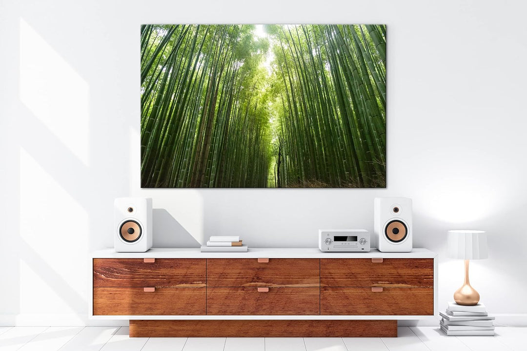 in die Höhe wachsender Bambus Format: 60x40 als Leinwandbild, Motiv fertig gerahmt auf Echtholzrahme