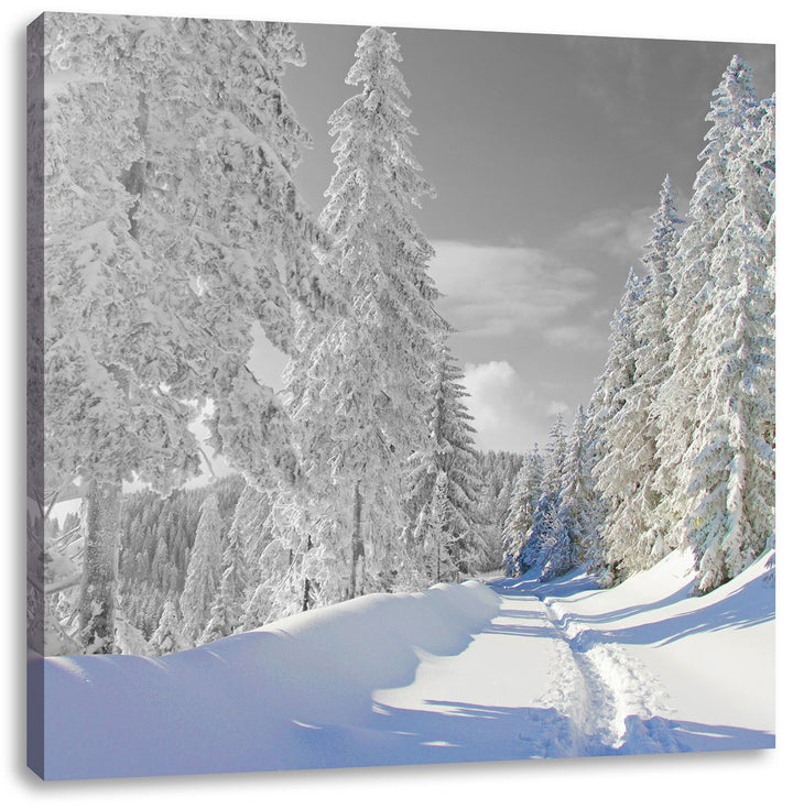 Pixxprint Winterlandschaft mit Bäumen als Leinwandbild Quadratisch/Grösse: 70x70 / Wandbild/Kunstdru