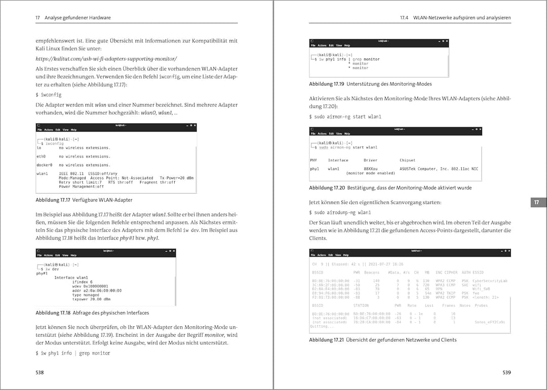 Hardware u. Security: Werkzeuge, Pentesting, Prävention. So beugen Sie Hacking-Angriffen und Sicherh