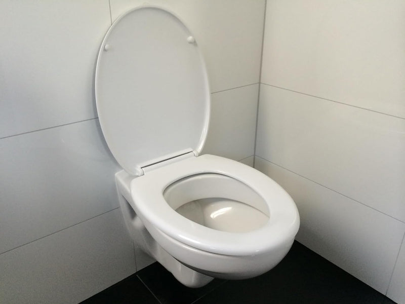 WC Sitz Klobrille Muschelform Farbe Weiss, Duroplast, sehr stabil