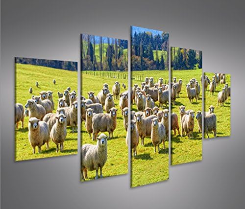 islandburner Bild Bilder auf Leinwand Schafherde Schafe auf Wiese MF XXL Poster Leinwandbild Wandbil