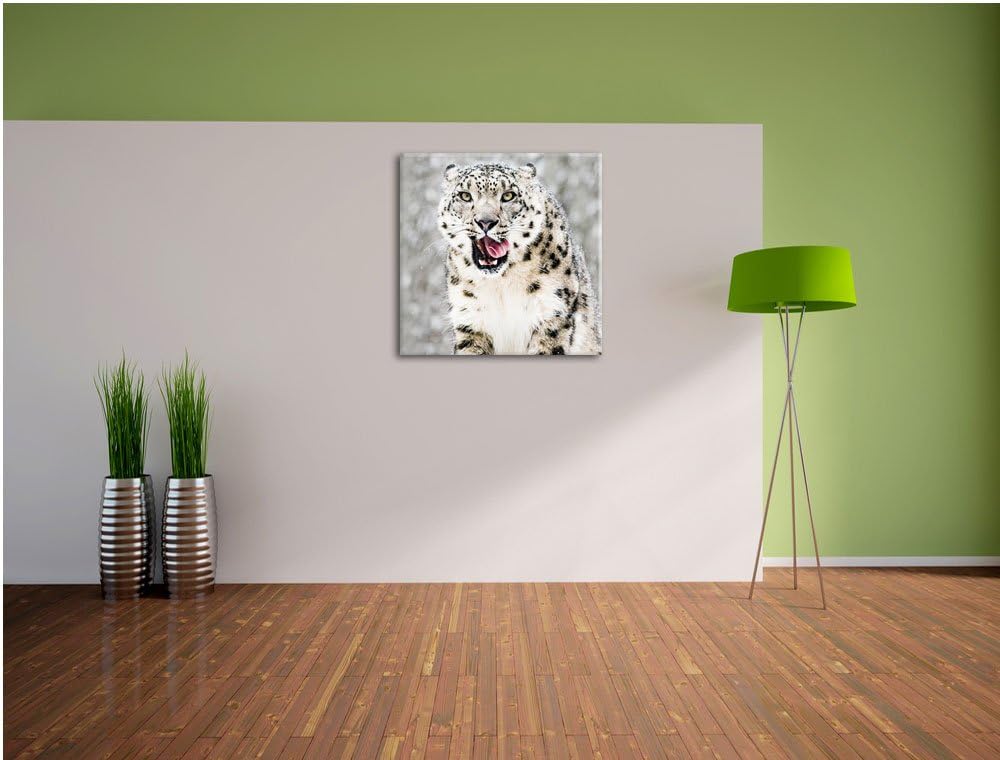 Leopard im Schnee, Format: 70x70 auf Leinwand, XXL riesige Bilder fertig gerahmt mit Keilrahmen, Kun