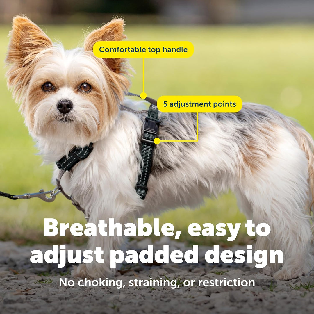 PetSafe 3-in-1-Geschirr, Easy Walk Hundegeschirrs, voll verstellbar, kein Ziehen, Schwarz, Grösse XS