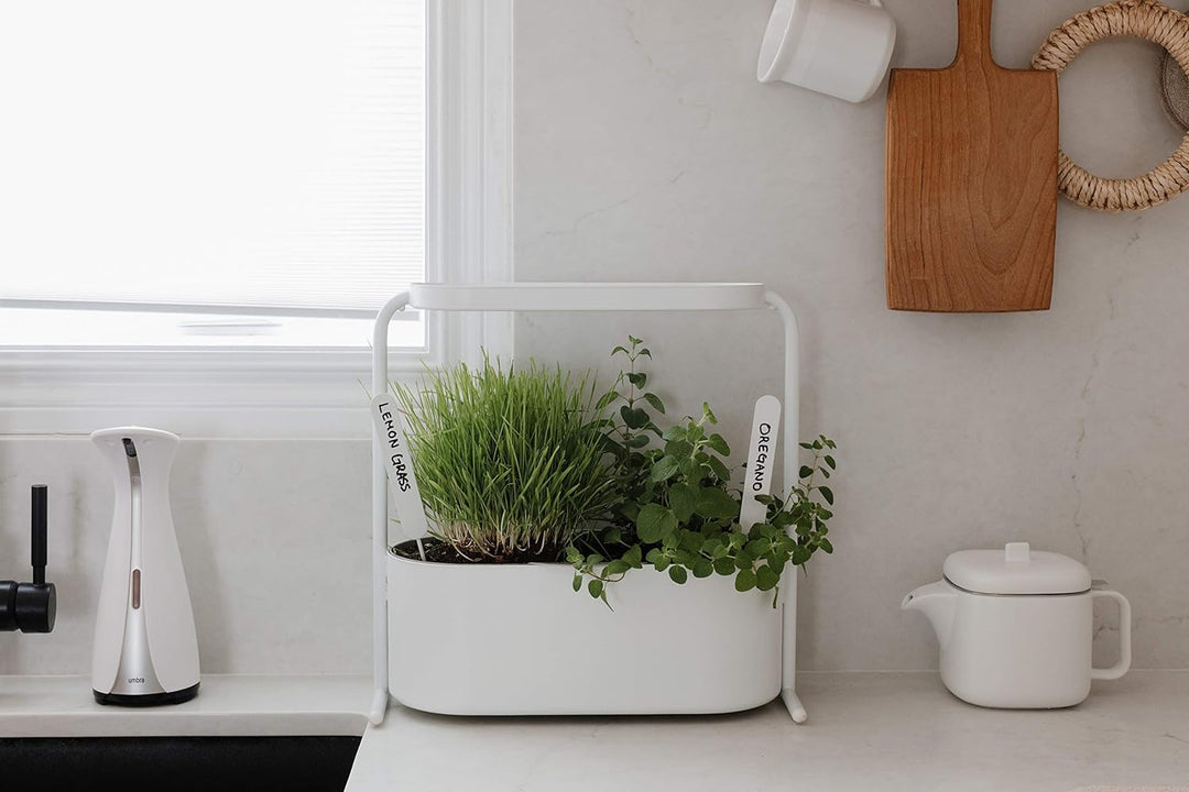 Umbra Giardino Pflanzbehälter und Kräutertopf mit integriertem Wasserablauf – Kräutergarten-Set mit
