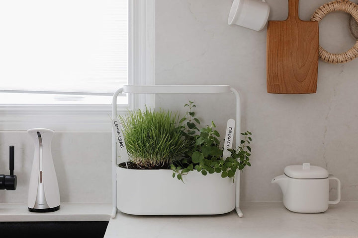 Umbra Giardino Pflanzbehälter und Kräutertopf mit integriertem Wasserablauf – Kräutergarten-Set mit