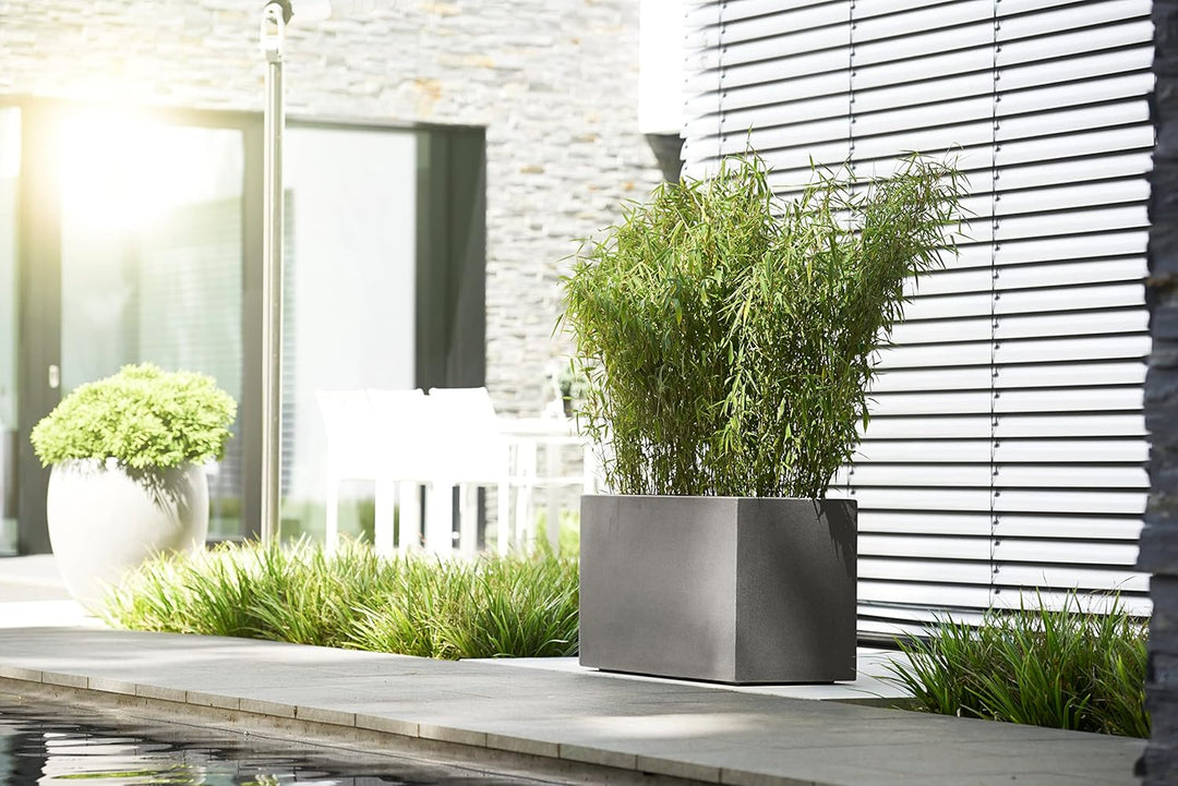 Casa Mina Pflanzkübel gross aussen - Fiberglas Blumenkübel Rechteckig 77x37x37cm - Premium Pflanzgef
