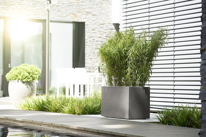 Casa Mina Pflanzkübel gross aussen - Fiberglas Blumenkübel Rechteckig 77x37x37cm - Premium Pflanzgef