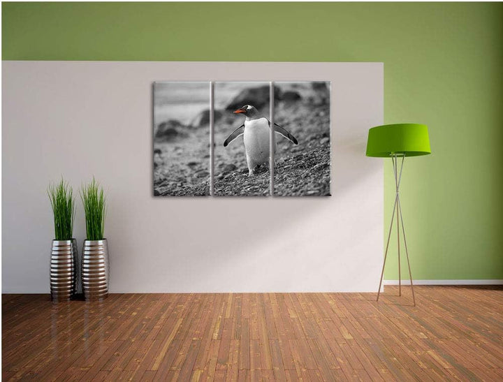 süsser Pinguin am Steinstrand schwarz/weiss 3-Teiler Leinwandbild 120x80 Bild auf Leinwand, XXL ries