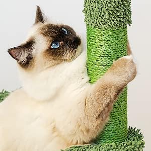 PAWZ Road Kaktus Katzenbaum für Hauskatzen, Katzenkletterbaum Katzenspielturm mit Hängematte, Katzen