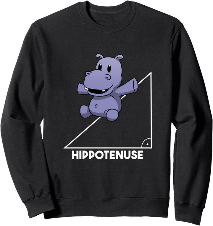 Hippotenuse Mathematik Lehrer Geometrie Winkelfunktion Abi Sweatshirt