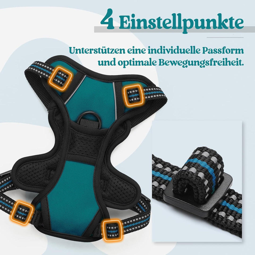 rabbitgoo Hundegeschirr Kleine Hunde, Anti Zug Geschirr mit Kontrolle, No Pull Verstellbar Hundegesc