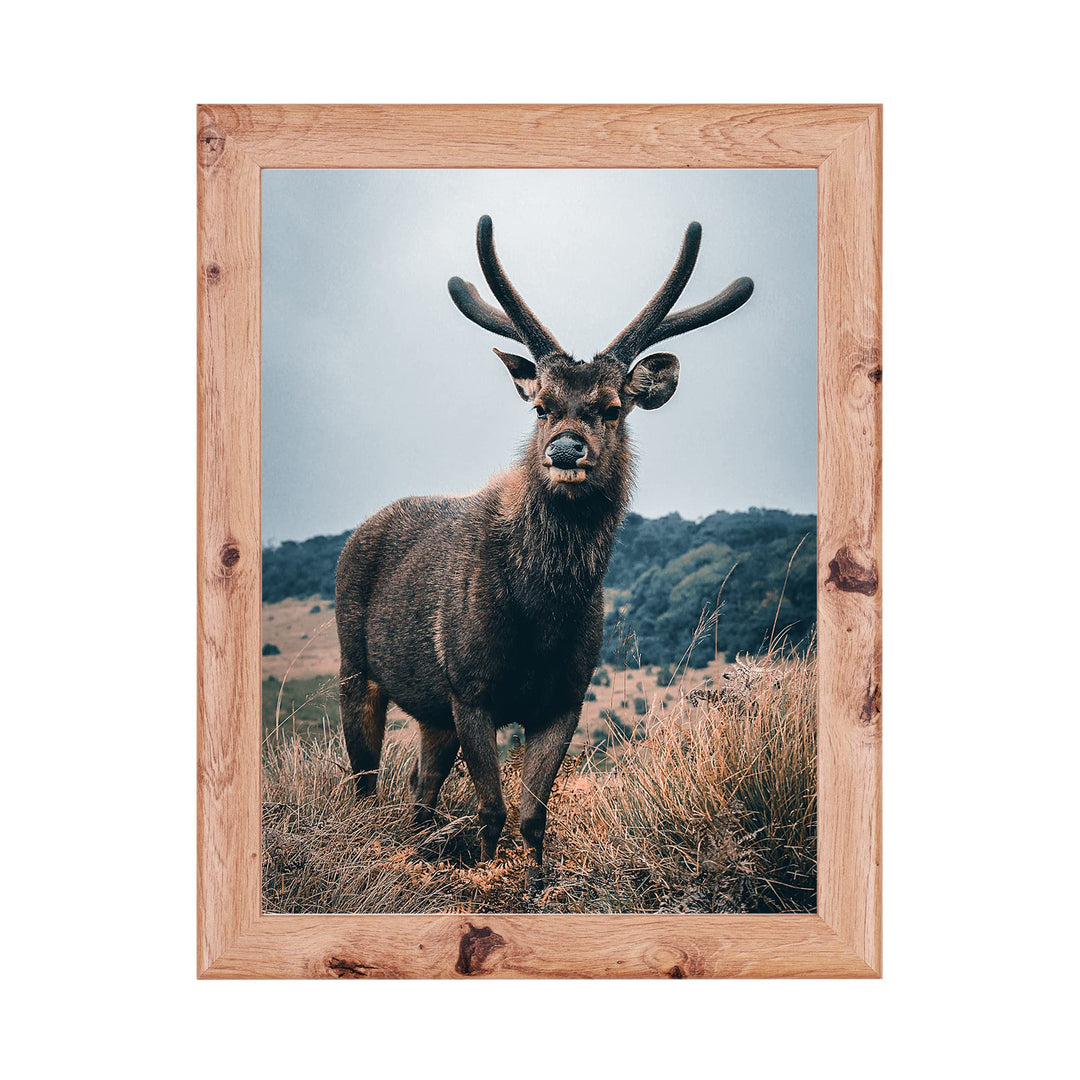Rahmendesign24 Posterrahmen Fiona 50x70 Eiche natur Fotorahmen, Wechselrahmen, Bilderrahmen