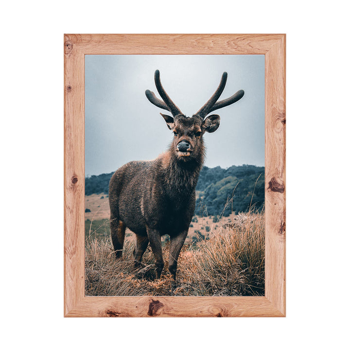 Rahmendesign24 Posterrahmen Fiona 50x70 Eiche natur Fotorahmen, Wechselrahmen, Bilderrahmen