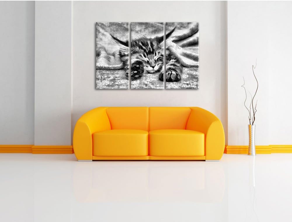 Pixxprint Baby-Katze, rote Bettdecke, als Leinwandbild/Grösse: 3 Teilig (120x80 cm) cm/Wandbild/Kuns