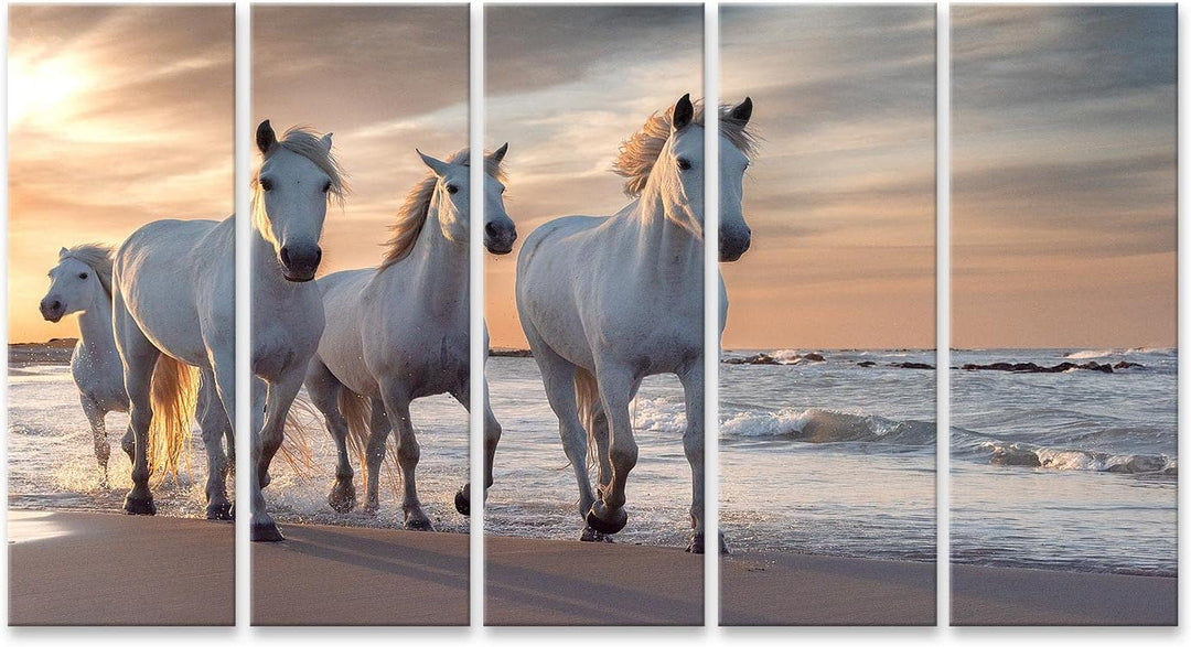 islandburner Bild auf Leinwand Weisse Pferde Camargue Frankreich Herde Bilder Wandbilder Poster Lein