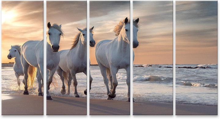 islandburner Bild auf Leinwand Weisse Pferde Camargue Frankreich Herde Bilder Wandbilder Poster Lein