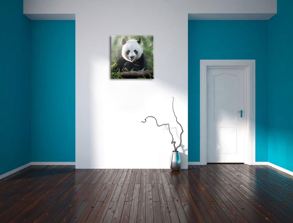 Pixxprint Niedlicher Panda isst Bambus als Leinwandbild | Grösse: 70x70 cm | Wandbild | Kunstdruck |