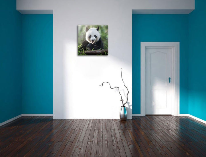 Pixxprint Niedlicher Panda isst Bambus als Leinwandbild | Grösse: 70x70 cm | Wandbild | Kunstdruck |