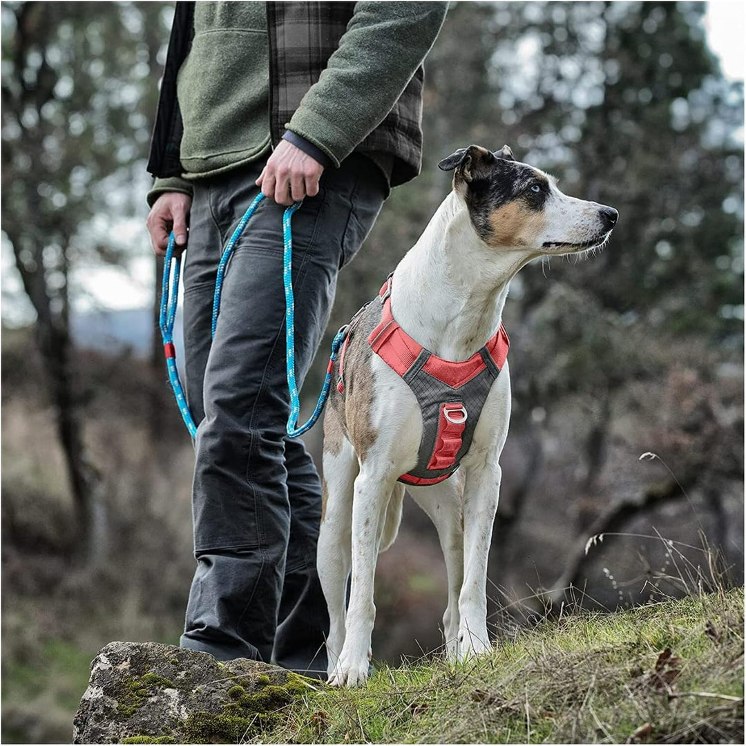 Kurgo Journey Air Hundegeschirr, Westengeschirr für Hunde, Haustier-Wandergeschirr zum Laufen &amp; Spaz