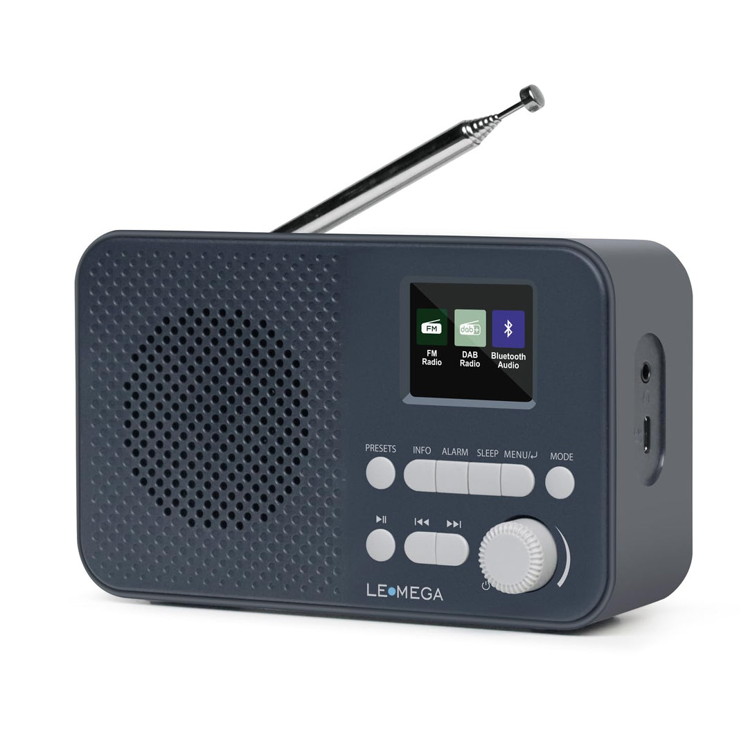 LEMEGA DAB Go DAB+/UKW Radio,Bluetooth,Farbdisplay,AA-Batterie,Dunkelgrau | Digitalradio,Doppelalarm