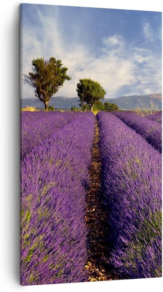 Bilder auf Leinwand Landschaft Wiese Pflanzen Leinwandbild mit Rahmen 45x80cm Wandbilder Dekoration