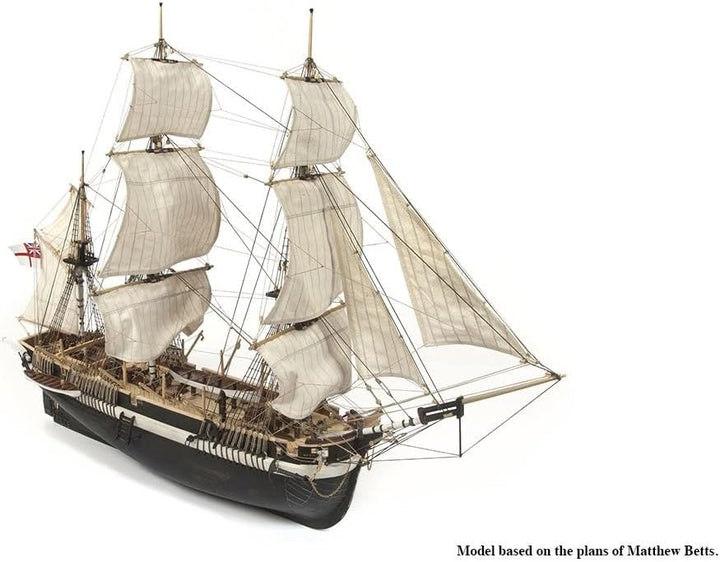 Terror OCC_12004