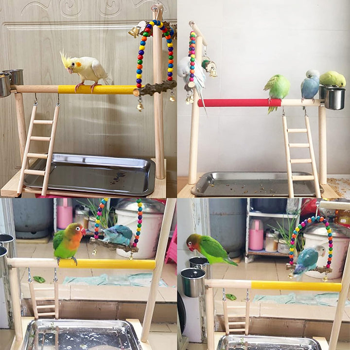 Vogel Spielplatz Papagei Spielplatz Holz Gym Vogelständer Barsch Turnhalle Leiter Laufgitter Spielze