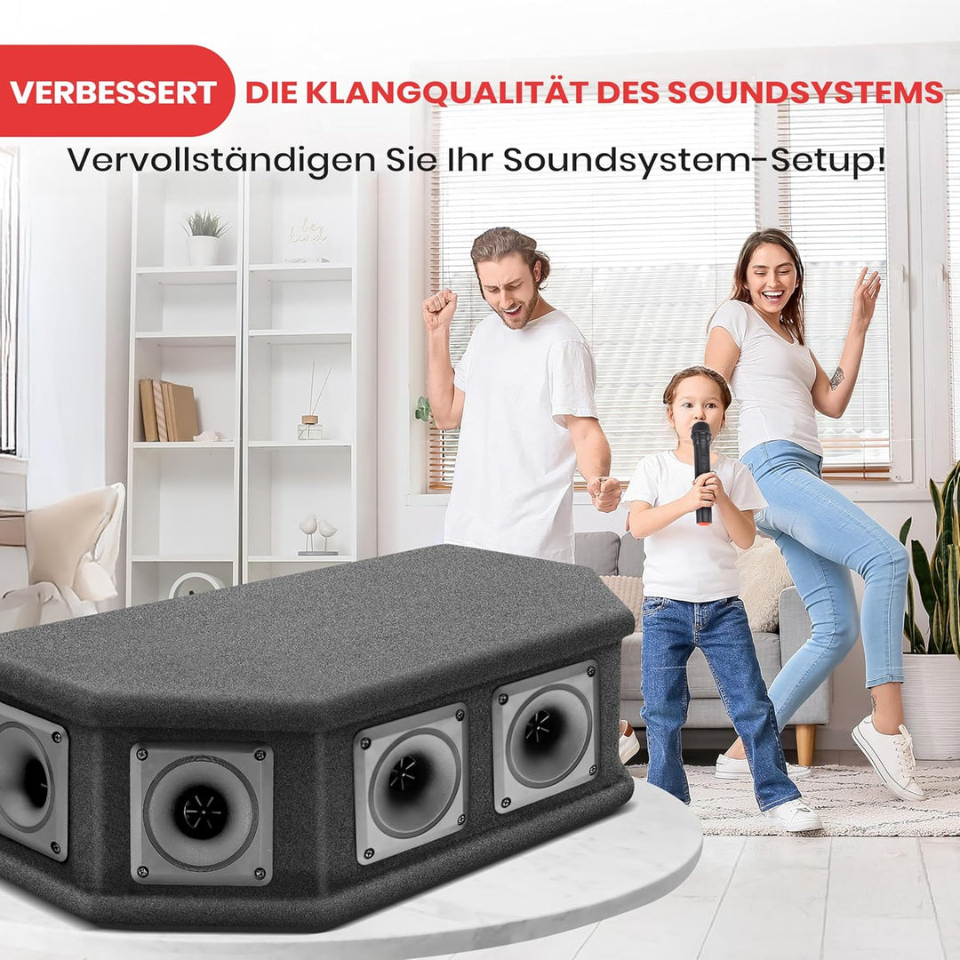 PylePro 300 Watt DJ Lautsprecher Boxen, Party Lautsprecher Passiv Robuste PA Box als Musikanlage 6-W