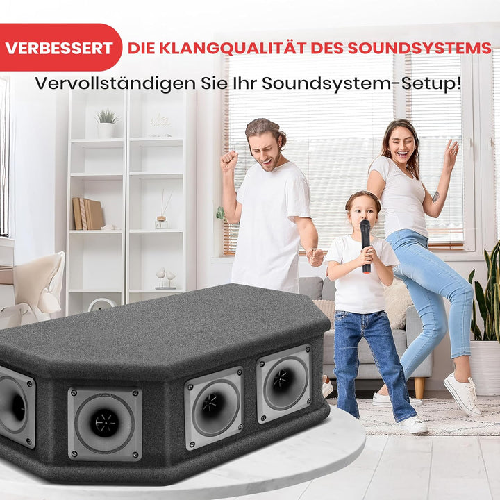 PylePro 300 Watt DJ Lautsprecher Boxen, Party Lautsprecher Passiv Robuste PA Box als Musikanlage 6-W