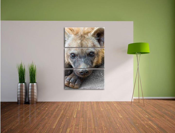 Pixxprint niedliche kleine Hyäne als Leinwandbild/Grösse: 3 Teilig (120x80) cm/Wandbild/Kunstdruck/f