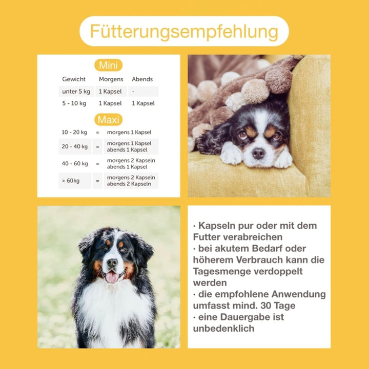 CaniMove Immune (ehemals EPA70) Mini &amp; Motion Mini - Das Kombipaket mit je 1 Packung für kleine Hund