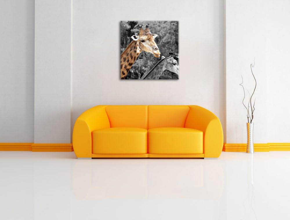 Pixxprint Zwei schöne Giraffen als Leinwandbild Quadratisch/Grösse: 70x70 / Wandbild/Kunstdruck/fert