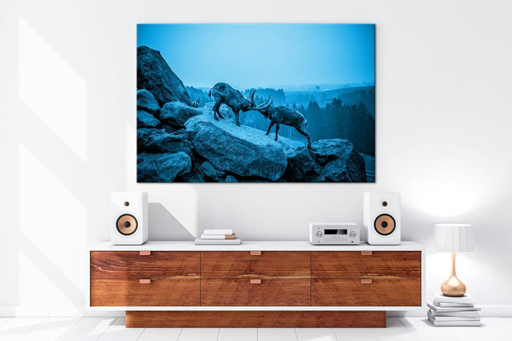 deyoli zwei kämpfende Steinböcke Format: 80x60 Effekt: Monocrome Blau als Leinwand, Motiv fertig ger