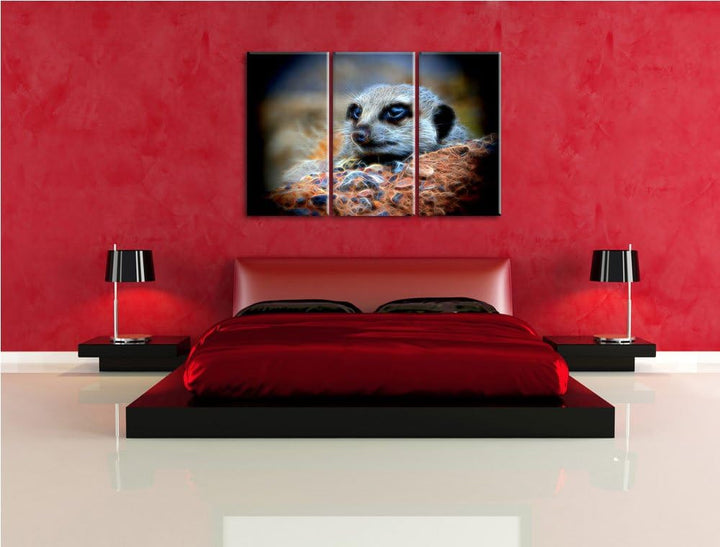 Dark ausgewachsenes Erdmännchen auf Steinboden NewArt 3-Teiler Leinwandbild 120x80 Bild auf Leinwand