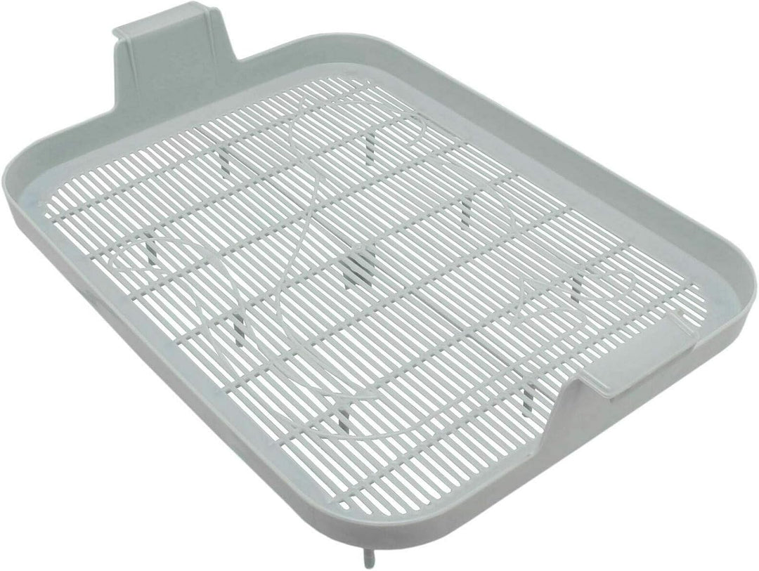 4Big.fun 2X Set Erste Katzentoilette Schalentoilette Katzenklo - perfekt für Kätzchen Katzenbabys Ju