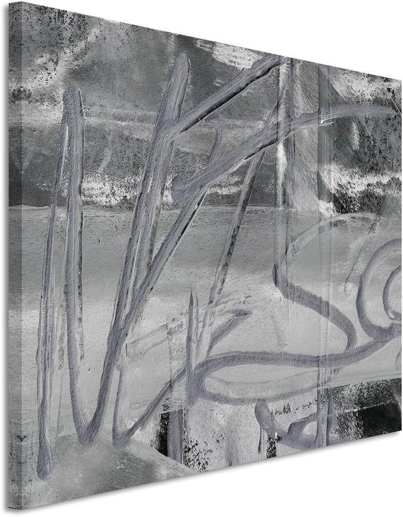 Paul Sinus Art 80x60cm Fotoleinwand Leinwanddruck Kunstdruck Wandbild schwarz weiss grau Schlieren