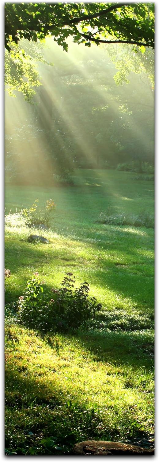 Bilderdepot24 Bild auf Leinwand | Wiese in 30x90 cm als Panorama Wandbild | Wand-deko Dekoration Woh