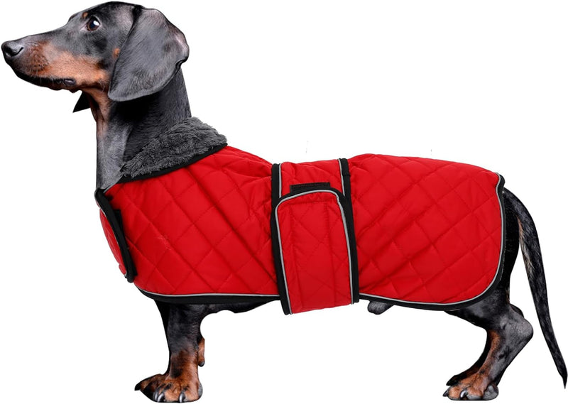 MOREZI Dackel Hund Winterjacke. wasserdichte Hundejacke. Mit Wolle, inneren und verstellbaren Schult