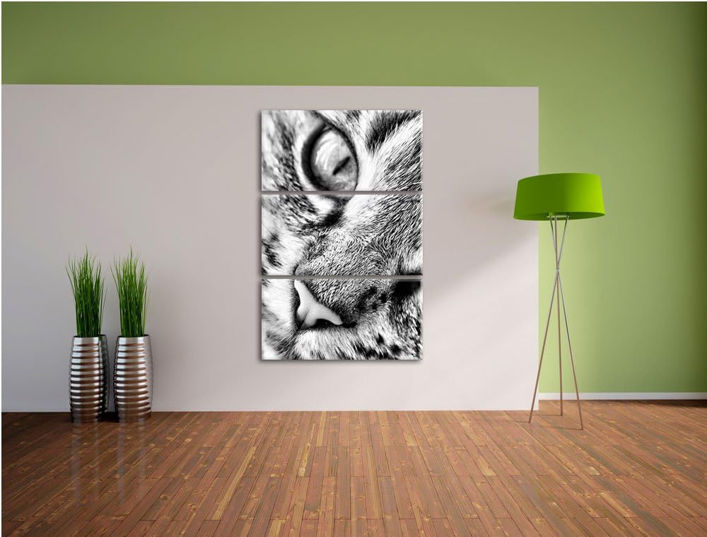 Pixxprint Grosse Katzenaugen / 3-Teilig/Gesamtmass 120cm Leinwandbild bespannt auf Holzrahmen/Wandbi