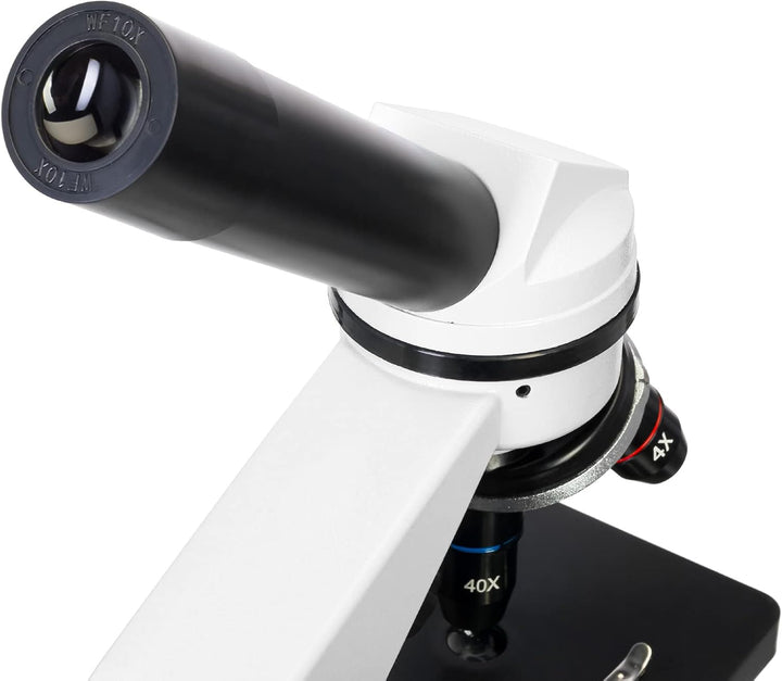 Levenhuk Rainbow 2L Moonstone STEM Mikroskop für Kinder 40–400x Mondstein Sprache: Polnisch, Mondste