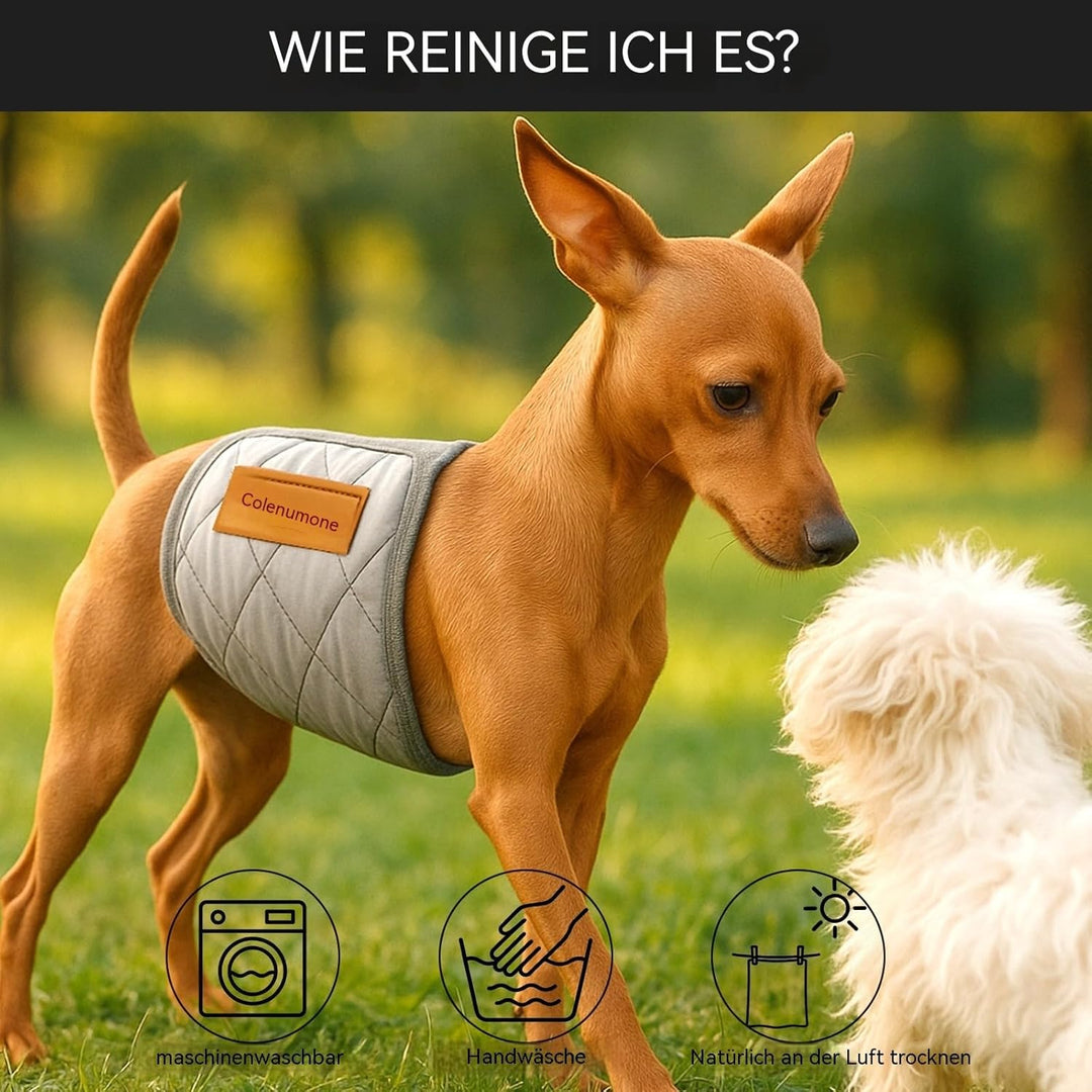 Hundewindeln, waschbar, wiederverwendbar, Bauchbänder für Rüden, gesteppt, ultra-saugfähig, auslaufs