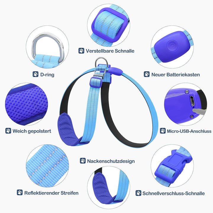 Beleuchtetes Hundegeschirr LED, Wiederaufladbar, Für Nachtspaziergänge Blau, M M Blau, M Blau