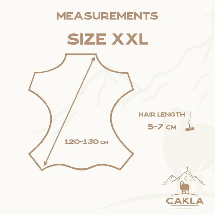 Cakla Lammfell Echt 120-130 cm - Schaffell Echt Gross - Fellteppich Weiss - Weich und Flauschig - Fe