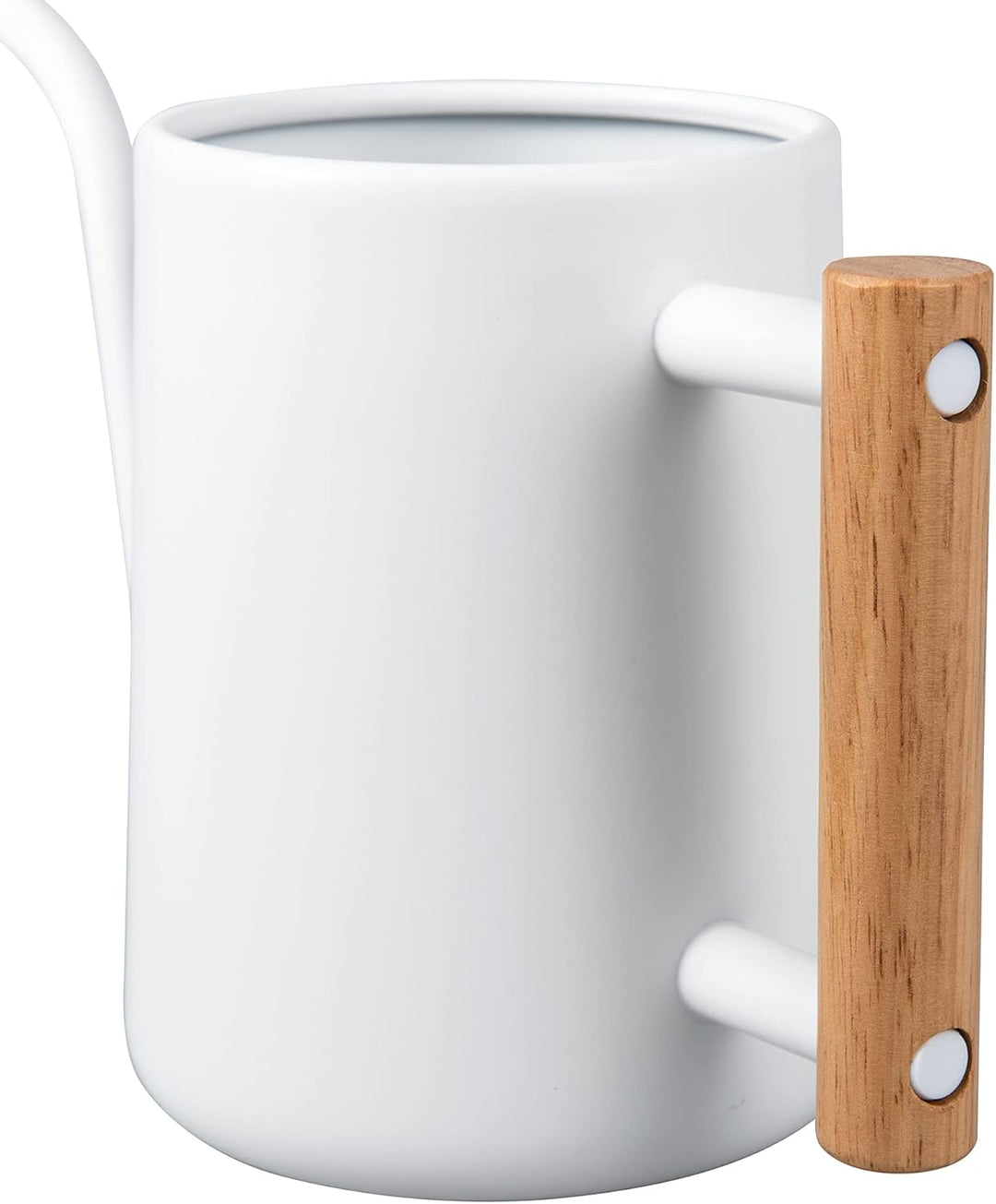 IMEEA 1L Indoor-Giesskanne Zimmerpflanzen ，Moderne Giesskannek kleinere Topfpflanzen Edelstahl-Giess