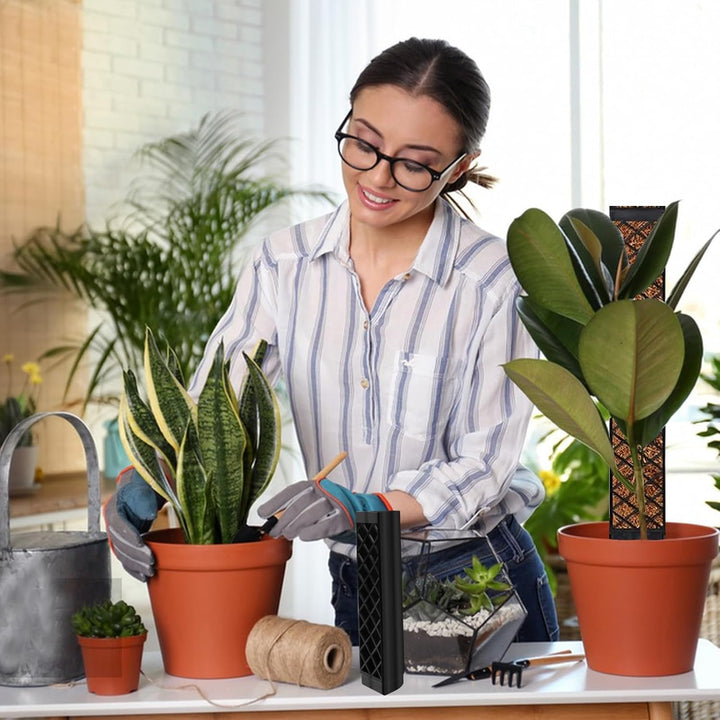 Moosstab für Monstera Rankhilfe Zimmerpflanzen Rankhilfe Monstera Pflanzstab Rankstäbe Plastik Mit P