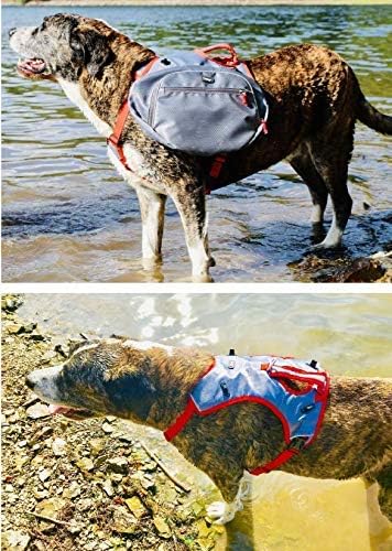 iEnergy™ MAE Hunderucksack - 2in1 Geschirr und Abnehmbarer Rucksack für Hunde - Wetterfest und inklu