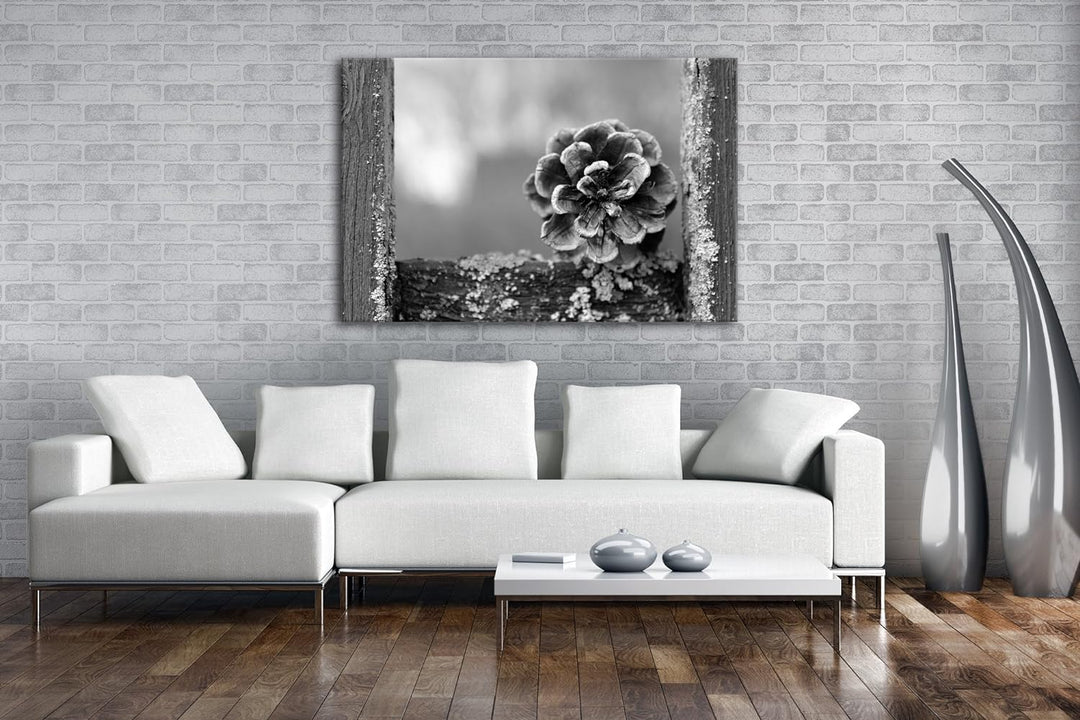 deyoli aufgegangener Kiefernzapfen Effekt: Schwarz/Weiss Format: 80x60 als Leinwandbild, Motiv ferti