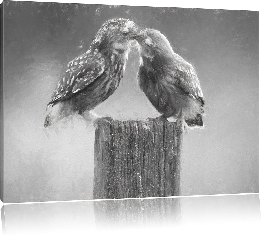 Pixxprint Küssende Eulen Kunst Kohle Effekt, Format: 100x70 auf Leinwand, riesige Bilder fertig gera