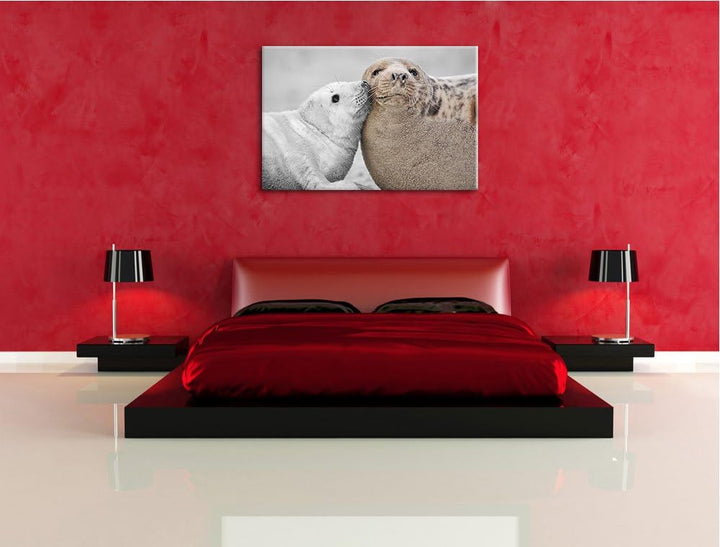 süsse Robben schmusen schwarz/weiss Format: 100x70 auf Leinwand, XXL riesige Bilder fertig gerahmt m