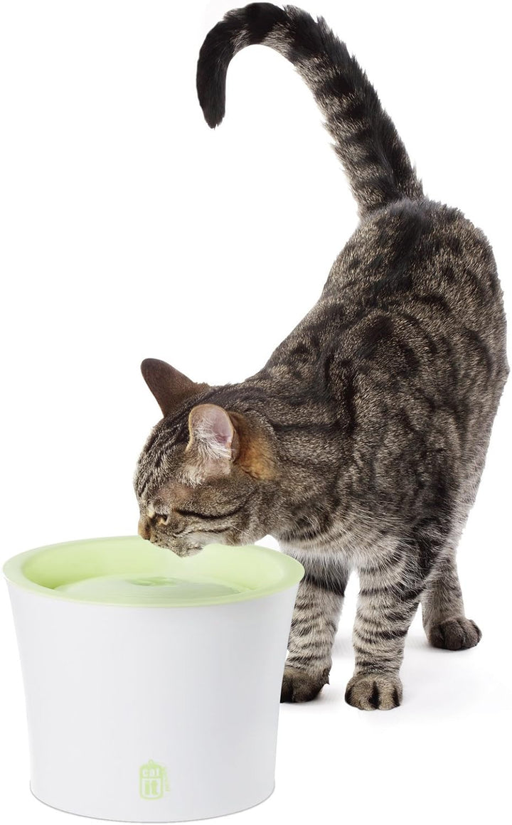 Catit Trinkbrunnen, für Katzen, grün/weiss, 3L Single, Single